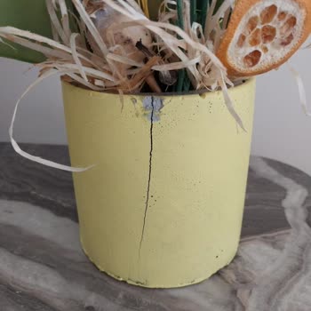 Kırık Saksı Ve Özensiz Çiçekle Hayal Kırıklığı