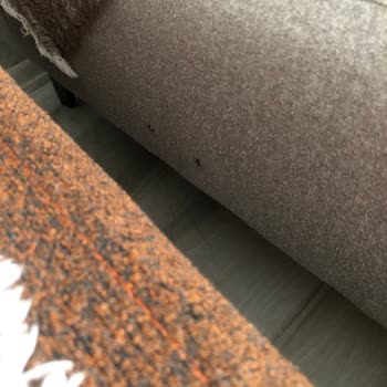 Mobilya Kalitesizliği Ve İletişim Sorunları