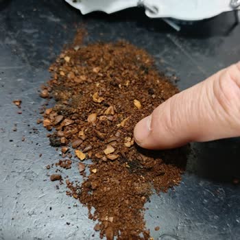 De'Longhi Kahve Makinesi Garanti Sorunu