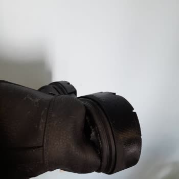 Kış Ortasında Dayanıksız Bot Sorunu