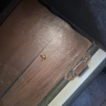 Hijyen Ve Güvenlik Sorunlarıyla Dolu Bir Yolculuk