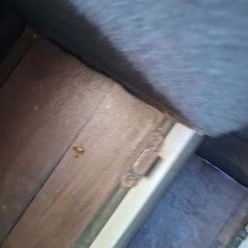 Hijyen Ve Güvenlik Sorunlarıyla Dolu Bir Yolculuk