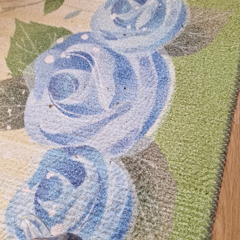 Katılım Evim'de Hayal Kırıklığı Ve Güvensizlik