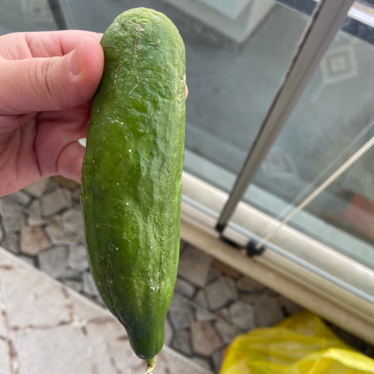 Çürük Sebzelerle Gelen Hayal Kırıklığı