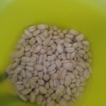 Hasata Kuru Fasulye Hayal Kırıklığı