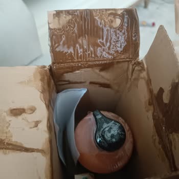 Yanlış E-posta Adresiyle Müşteri Hizmetleri Çıkmazı