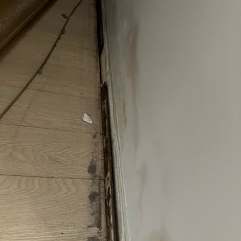 Rönesans İnşaat Güven Vermeyen Bir Şirket