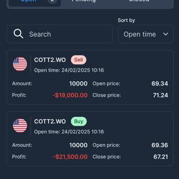 Wolf Market'te Anapara Kaybı Ve Şüpheli İşlemler