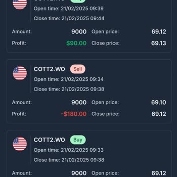 Wolf Market'te Anapara Kaybı Ve Şüpheli İşlemler
