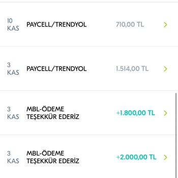 Cambly Charged My Card for Months Without Consent