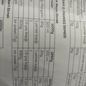 Karaca Ekmek Yapma Makinesi Tarif Sorunları