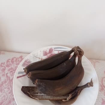 Vestel Buzdolabında Sürekli Bozulma Sorunu