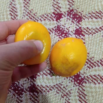 Vestel Buzdolabında Sürekli Bozulma Sorunu