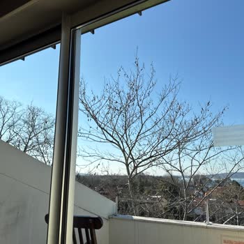 Balayı Hayal Kırıklığı: Yanıltıcı Oda Seçimi