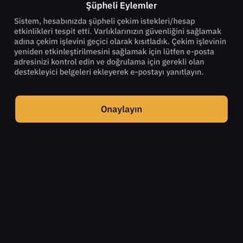 Bybit Wallet Transfer Blocked for 22 Days – No Resolution Yet