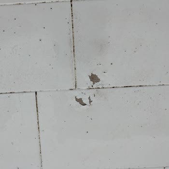 Zemin Boyası Uygulamasında Hayal Kırıklığı