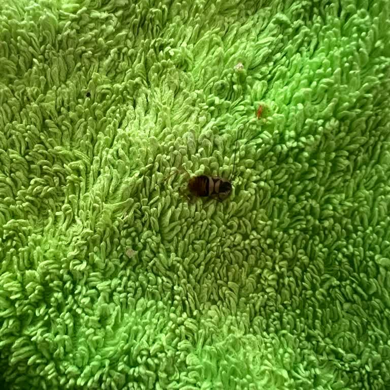 Ziraat Bankası'ndan Emekli Maaşı Müşterisine EFT Ücreti Şoku