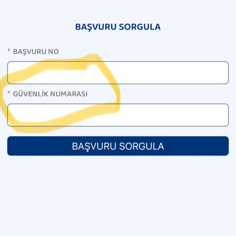 Güvenlik Kodu Eksikliği Nedeniyle Sonuçlara Ulaşamama Sorunu