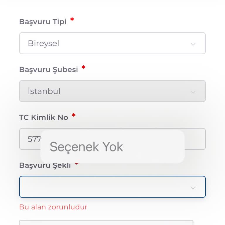 Kosmos Vize Hizmetleri'nde Randevu Sorunu