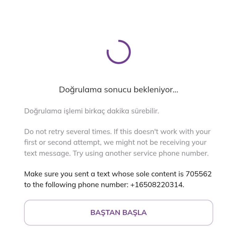 Pi Hesabına Giriş Yapamama Sorunu