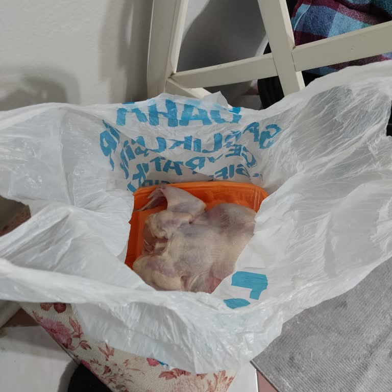 Bozuk Tavuk Ürünü Ve Mağaza İade Sorunu