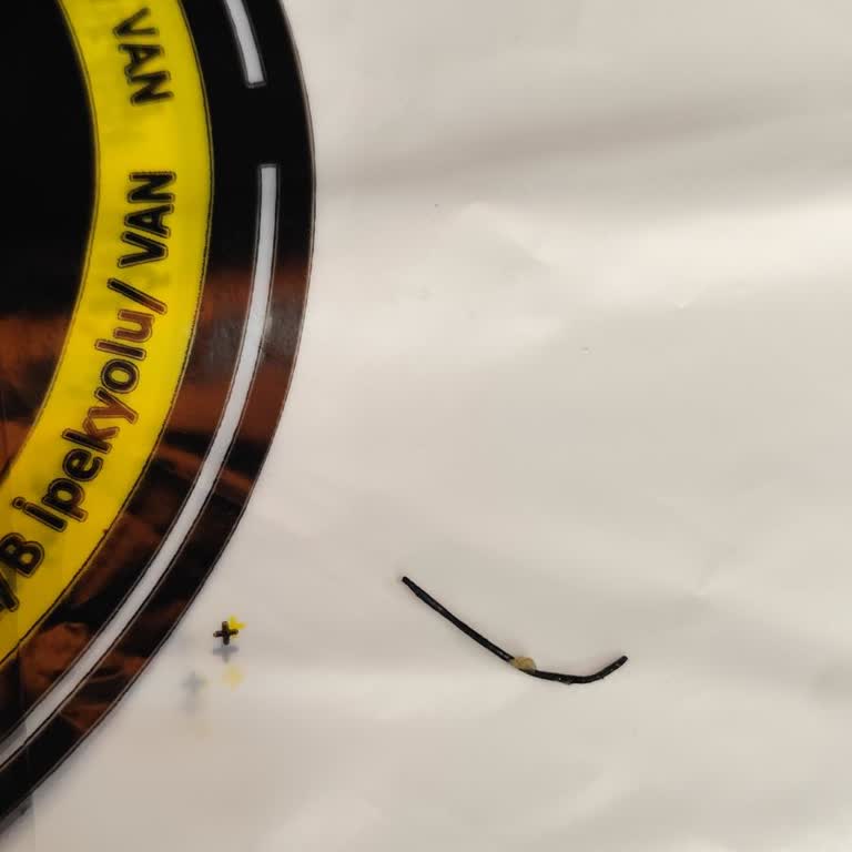 Dönerde Kalite ve Hizmet Sorunları