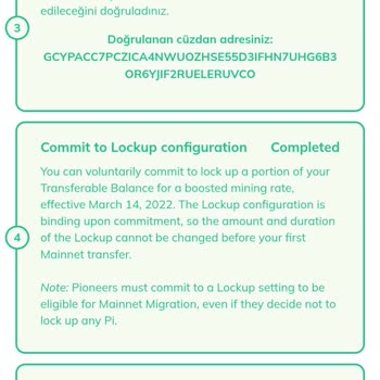Pi Network'te Yanlış Cüzdan Aktarımı Ve Uzayan KYC Süreci