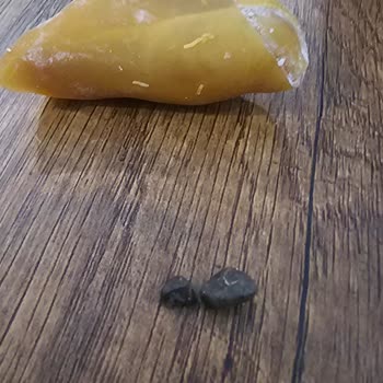 Muska Tatlısında Taş Skandalı