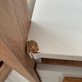 Kelebek Mobilya'dan Aldığımız Genç Odası Takımı Sorunu