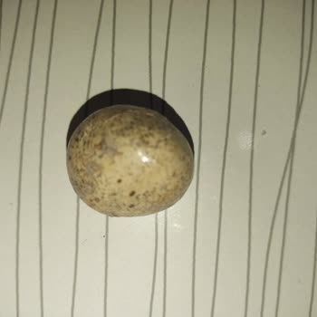 Tarihi Geçmemiş Ürünün Bozulmuş Gelmesi