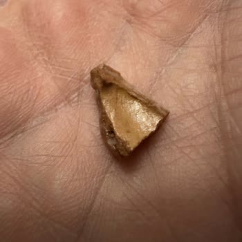 Badem Şekerinde Tehlikeli Kabuk Sorunu