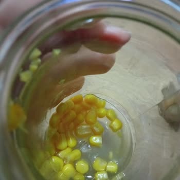 Tat Mısır Kavanozunda Tehlikeli Cam Parçası Şoku