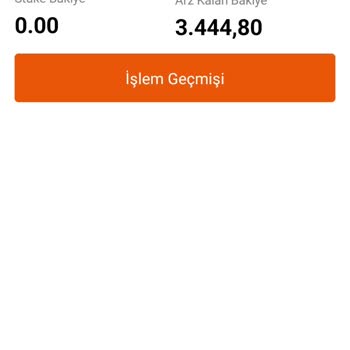 Bitci.com.tr'de Dtec Token Erişim Sorunu Ve Mağduriyet