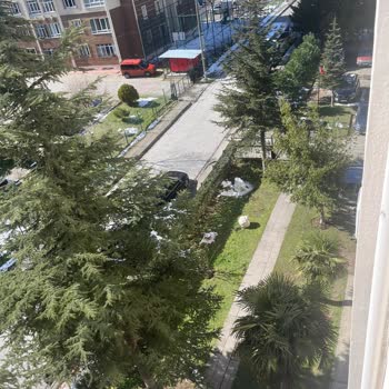 Aras Kargo Teslimat Karmaşası: Adresime Ulaşmayan Kargo