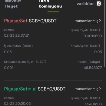 Ani Değer Kaybı: Onixex Platformunda Büyük Kayıp