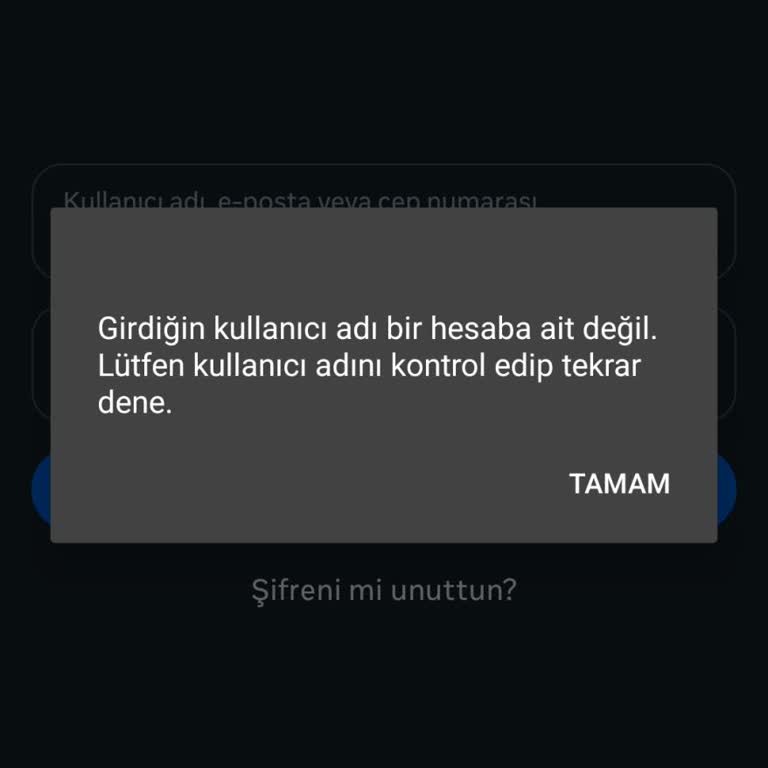 Instagram Hesabımı Yeniden Aktifleştiremiyorum!