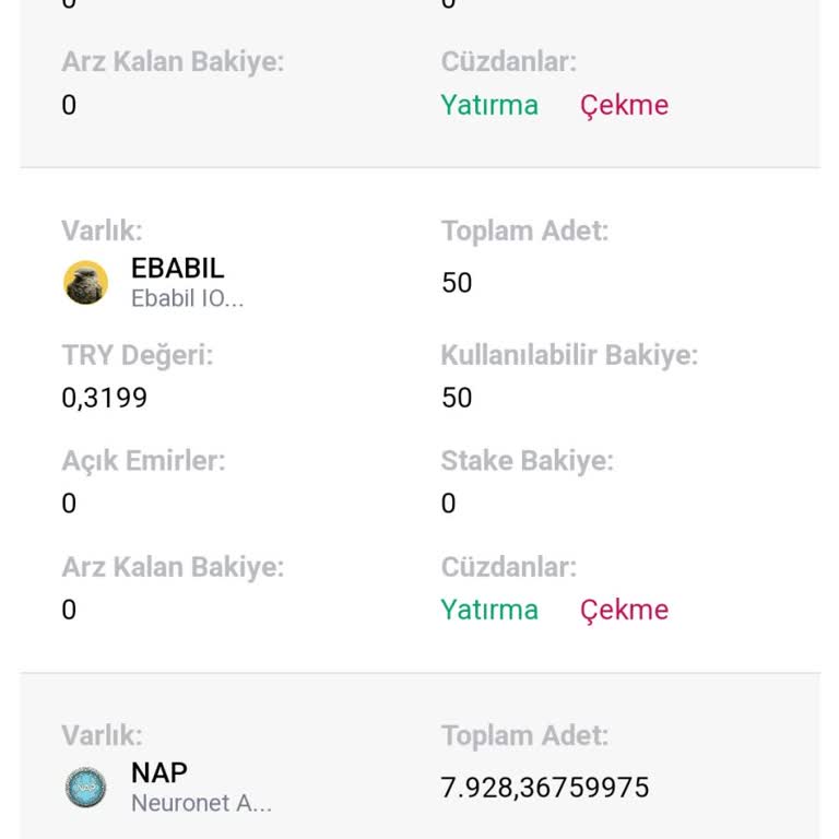 Bitci.com.tr'de Görünmeyen Nap Tokeni Sorunu