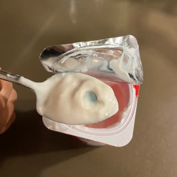 Eker Çilekli Probiyotik Yoğurt Ürünü Küf Sorunu