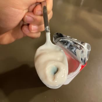 Eker Çilekli Probiyotik Yoğurt Ürünü Küf Sorunu