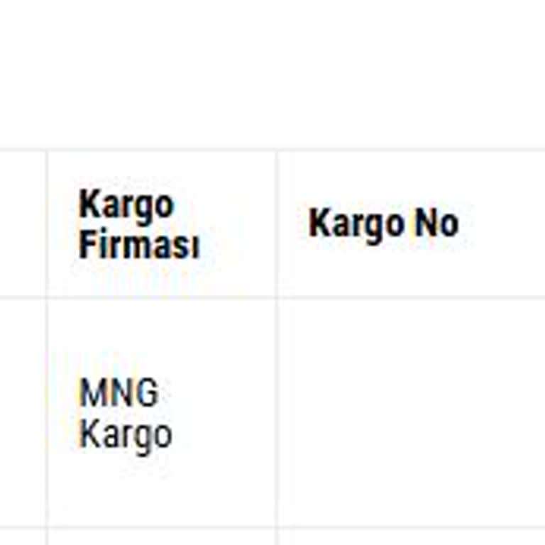 Direnç Net'te Kargoya Verilmeyen Ürünler Ve İlgisiz Müşteri Hizmetleri