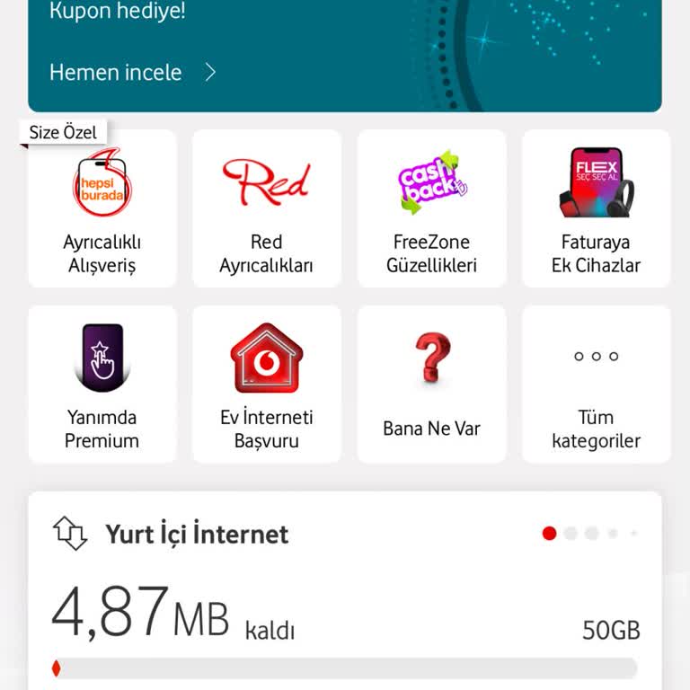 Sınırsız Paket Aldım, İnternetim Bitti!