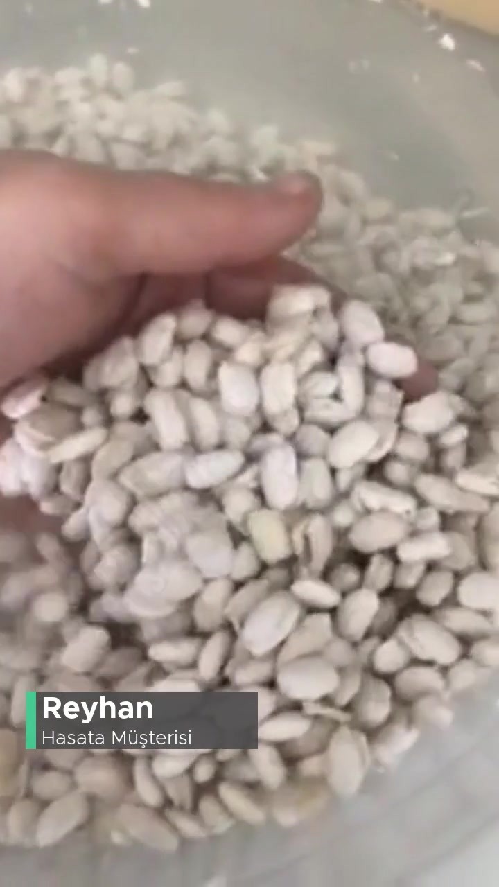 Hasata Fasülye Suya Atınca Hemen Yarılıp Dağıldı Kabuk Attı! videonun kapak resmi