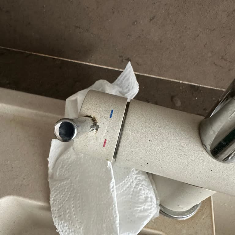 Franke Armatür Kaplaması Sorunu Ve Yetersiz Müşteri Hizmeti