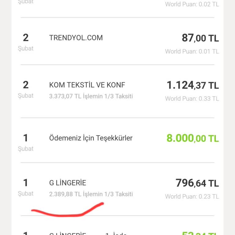 GLingerie İade Sürecinde Yaşanan Anapara Sorunu