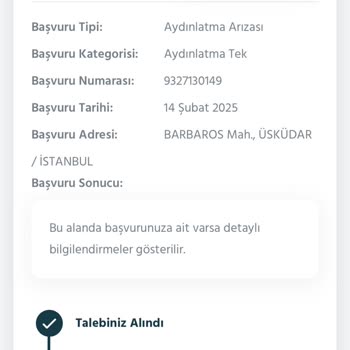 Karanlık Sokaklar: AYEDAŞ'ın Çözülemeyen Sokak Lambası Sorunu