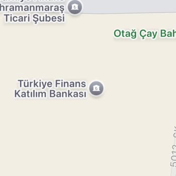 Kaldırım Üzerine Araç Parkı Sorunu