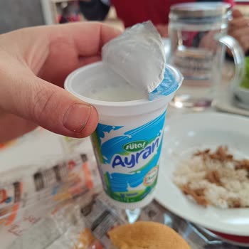 Kapalı Ayran Kutusundan Sinek Çıkması Şok Etti