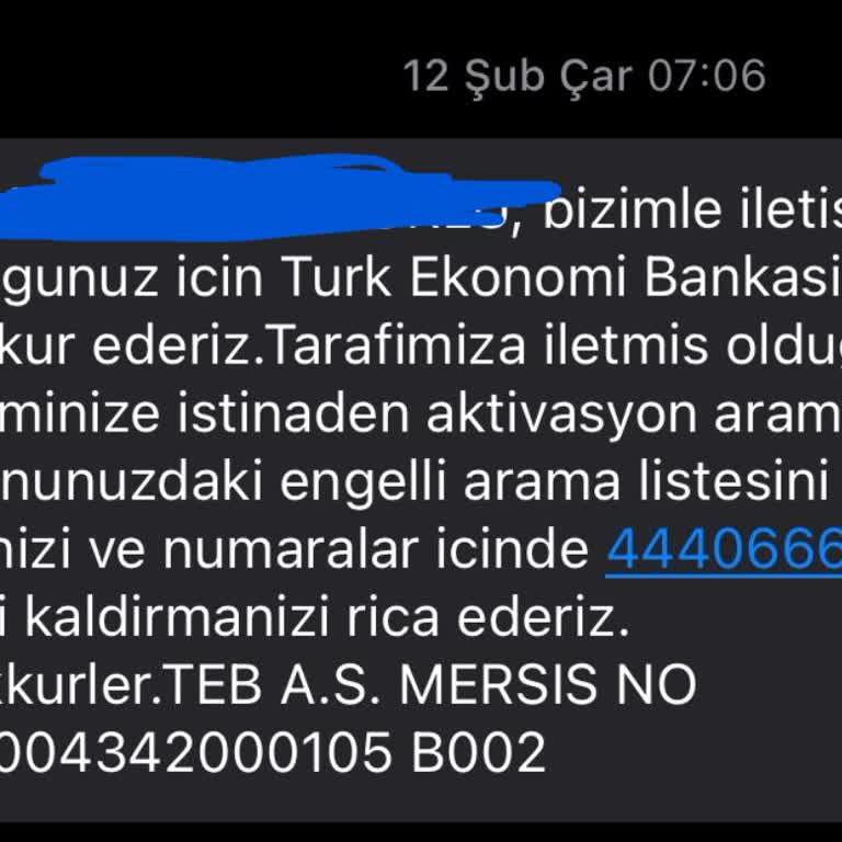 Bankacılık Uygulamasında Giriş Sorunu Ve Yetersiz Destek
