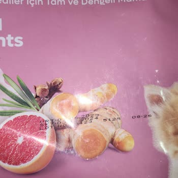 Amazon'dan Aldığım Kedi Mamalarının Son Kullanma Tarihi Sorunu
