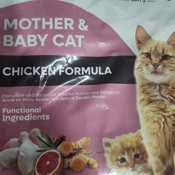 Amazon'dan Aldığım Kedi Mamalarının Son Kullanma Tarihi Sorunu